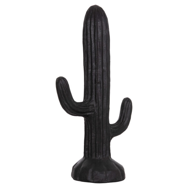 ΔΙΑΚΟΣΜΗΤΙΚΟΣ ΚΑΚΤΟΣ ΔΑΠΕΔΟΥ CACTUS HM4386.01M ΓΥΨΟΣ ΣΕ ΜΑΥΡΟ 54x34x103Υεκ.